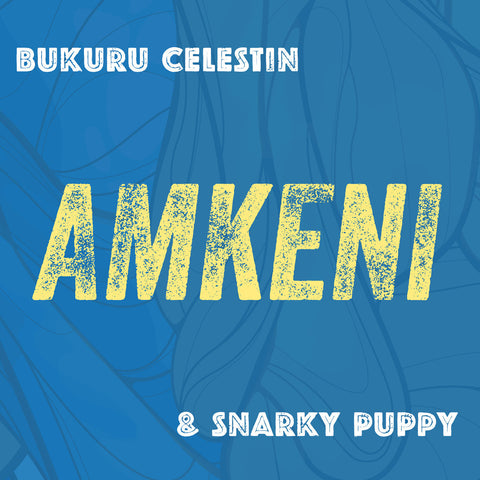 Amkeni [FLAC download]