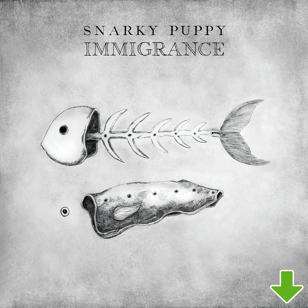 Immigrance [MP3 Download]
